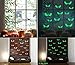 Luminous Sticker, Proboths Creative Removable Luminous Fluorescent Sticker Glow in Dark Decal for Halloween Home Wall Window Decoration Peeping Eyes