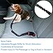 PetExpert Dog Seat Belt Adjustable Dog Car Harness Tangle Free Pet Safety Leash Leads Dog Seat Belt Harness with 21-31inch Elastic Nylon Bungee Buffer for Dogs Cats 10-110lbs