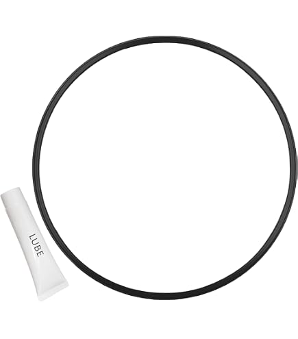 DEX2421JKIT Spannkontrollklemme Für Hayward Poolfilter – Ersatz Für Swim-Clear & ProGrid