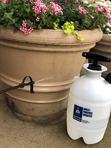SHERWIN WILLIAMS 60151SW Multi-Purpose Sprayer, 1G