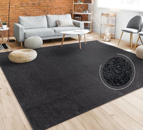 Paco Home Teppich Wohnzimmer Schlafzimmer Esszimmer Kurzflor Moderne Optik Einfarbig Pastell, Grösse:280x380 cm, Farbe:Schwarz