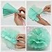 First Birthday Boy Decorations Baby Blue White Grey Baby Boy First Birthday Party Decorations Tissue Paper Pom Pom Tassel Garland Circle Garland for Gey Elephant Baby Shower Decorations Boy