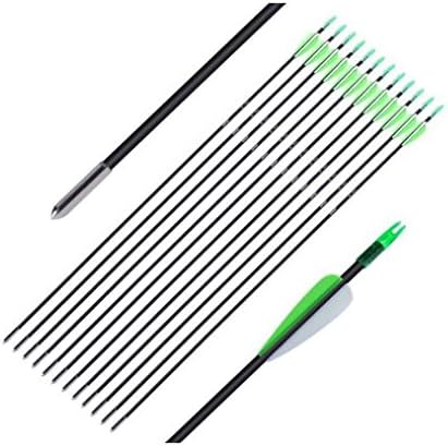 Ruixunte 30'' inch Fiberglass Arrow Archery Hunting Nock Proof Steel Point 30lbs For Recuve & Compound Bow(Pack of 12)