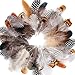TommoT 180 Pcs 6 Style Chicken Feathers Assorted Mixed for Party Dress-ups and Dream Catcher Crafts