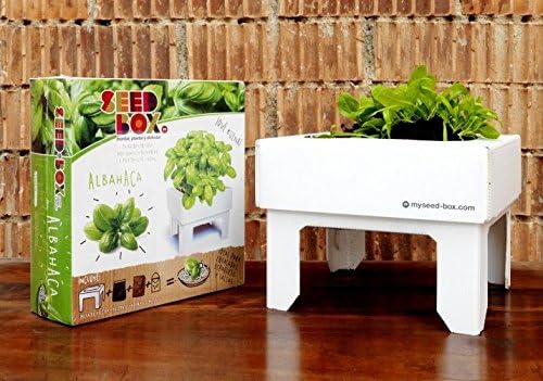 SeedBox SBCUAL - Huerto Urbano de albahaca: Amazon.es: Jardín