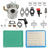 Harbot 798653 Carburetor Tune Up Kit for Briggs & Stratton 110432 110492 110412 111432 120202 120212 121212 121232 Engine