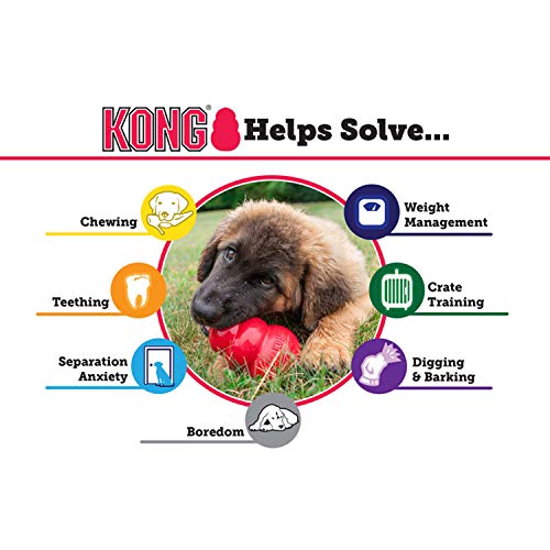 KONG Senior Medium