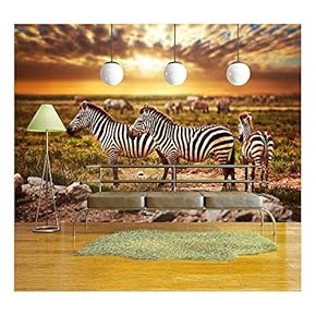 Zebras Herd on Savanna at Sunset, Africa. Safari in Serengeti, Tanzania - Removable Wall Mural | Self-Adhesive Large Wallpaper - 66x96 inches