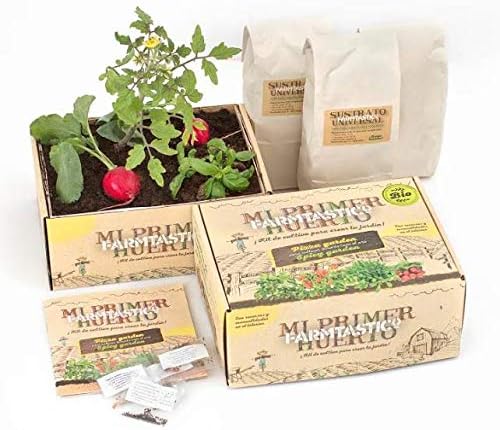 Gastrojardín Mi primer Huerto: Amazon.es: Jardín