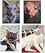 Stock Show Funny Cute Dog Retro Fashion Sunglasses Mosaic Glasses Transparent Eye-wear Protection Puppy Teacher Bachelor Cosplay Glasses Pink