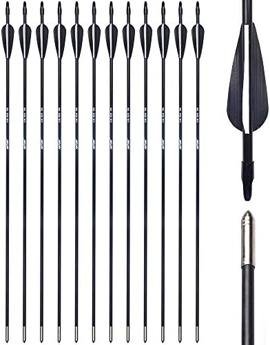 ANTSIR 28-30 Archery Target Arrows-Durable Shaft for Adult Training or Kid,with Steel Tip for Recuve &Traditional Bow