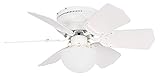 Litex BRC30WW6L Vortex 30-Inch Ceiling Fan with Six