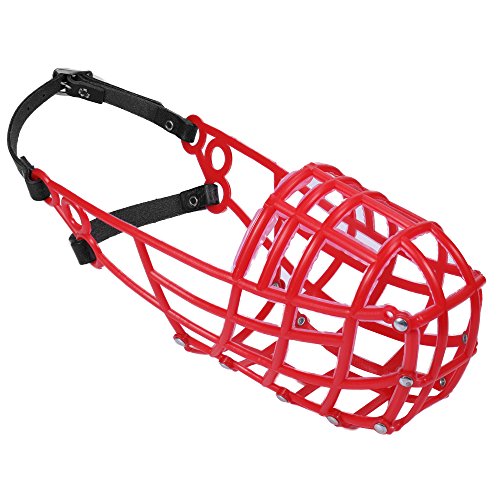 Don Pare 107 greyhound racing muzzle in Red Lurcher Sloughi Saluki dogs