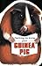 Getting to Know Your Guinea Pig (Children's Pet) by Gill Page