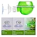 Rypet Suction Cup Reptile Feeder - Translucent Anti-Escape Dish for Tortoise Gecko Snakes Chameleon Iguana Lizard