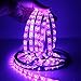 FAVOLCANO Waterproof Purple LED Strip 3528 SMD 300LED 5M Flexible Lamp Light DC 12V 60LED/M IP65 + 2.1 x 5.5mm DC Power Female Plug Jack Adapter Connector Plug