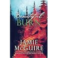 Beautiful Burn: A Novel (The Maddox Brothers Book 4)