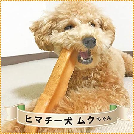 Amazon ロアジス正規品 ヒマラヤチーズ スティック Mサイズ 単品 約70g 犬用おやつ ヒマチー 無添加 チーズガム 商標登録 ヤクミルク ロアジス直営店 ヒマラヤチーズスティック ガム ローハイド 通販 Amazon ロアジス正規品 ヒマラヤチーズ スティック Mサイズ 単品 約70g 犬用おやつ ヒマチー 無添加 チーズガム 商標登録 ヤクミルク ロアジス直営店 ヒマラヤチーズスティック ガム ローハイド 通販