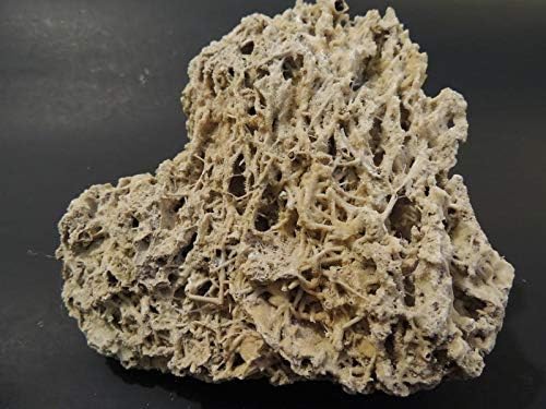 (1kg) Aquarium Natural Rock Tai Like Limestone Tropical Malawi & Tanganyika Cichlid Fish Tank Beautiful Decoration