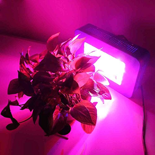 HHE Blue LED Grow Light for Indoor Plant Growing,one Switch for Leaf,another for Flowering â€¦ (50x5w)