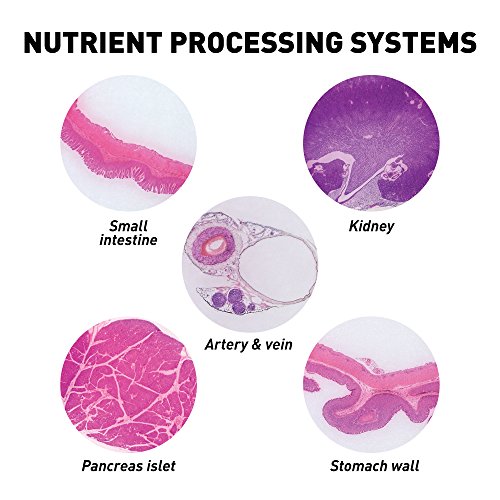 5 GEOGRAPHIC+Professional+Specimens+Microscope+Organization