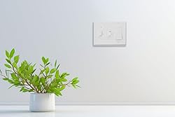 OKAWYC Double Toggle/Single Decorator Light Switch