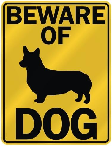 small yorkies for adoption