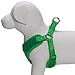 Blueberry Pet 4 Colors Better Basic Dog Harness Vest, Emerald Green, Chest Girth 17