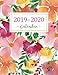 2019-2020 Calendar: Daily Weekly Monthly Calendar Planner | 24 Months Jan 2019 - Dec 2020 For Academic Agenda Schedule Organizer Logbook and Journal ... Monthly Calendar Planner 8.5 x 11) (Volume 1) by Rosemary D. Schreiner