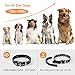 BB-BAO Rechargeable Dog Training Collar with 3 Training Modes, Adjustable Beep, Vibration and Shock Sensitivity Level, Barking Detection Small Large Dogthumb 4