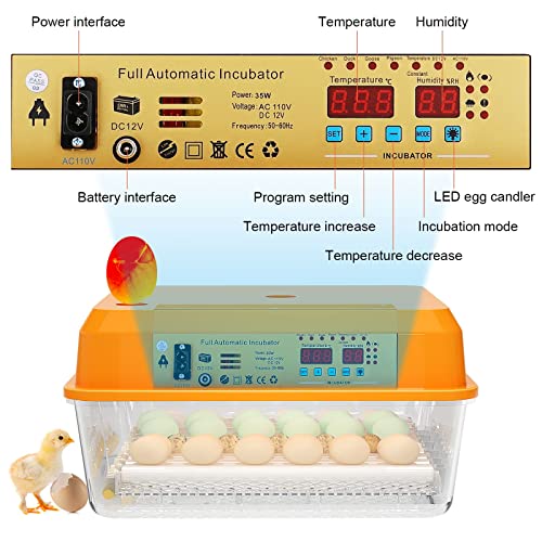 PaTunTEK Incubators for Hatching Eggs, 36 Eggs Incubators with Automatic Turning Humidity