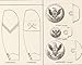 Qudasar American Civil War Poster. Confederate and Union Uniforms, Rank, Buttons. Reproduction. 16.5 X 27 Inches