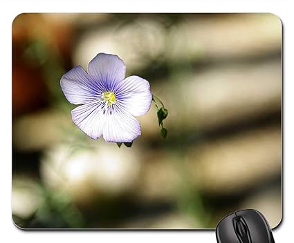 Amazoncom Mouse Pad Fleur De Lin Violet Nature Bio