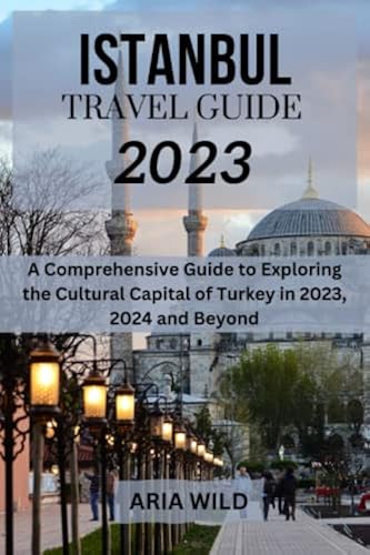 ISTANBUL TRAVEL GUIDE 2023 visual data 2