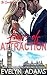 Laws of Attraction (The Southerlands Book 7)