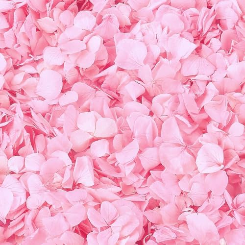 Real Pink Hydrangea Petals