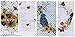 Celebrate Fall Together Floral Butterfly Bird Cotton Kitchen Terry Tea Towels, TWO Sets of (2) - Be Happy