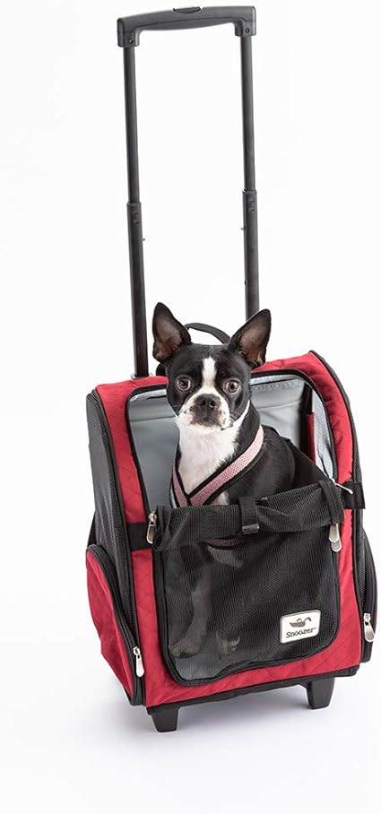 boston terrier backpack carrier