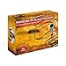 Revisa Black History Flashcards for Kids - Black History Cards with African American History Stories - Pioneers and Inventors in Black History