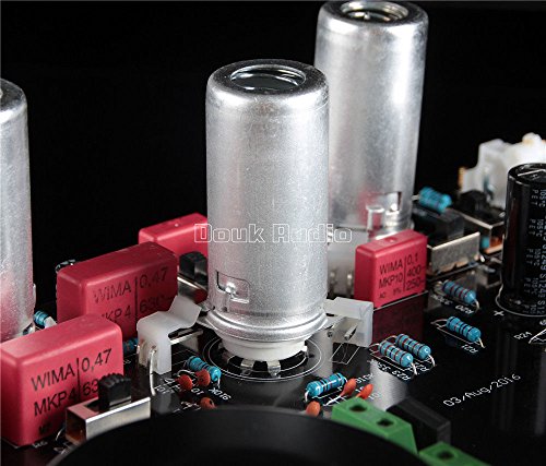 Toroidal Transformer Little bear T10 Pro 6N2 tube valve Phono Turntable RIAA Preamp preamplifier Ver2.5