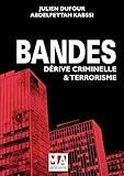 Bandes : Dérive criminelle et terrorisme by