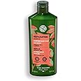 Yves Rocher Shampoo Nourishing & Restoring Jojoba Oil Deep Hydration & Repair – Silicone-Free - 300 ml / 10.1 fl oz