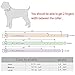 Didog Leather Padded Spiked Studded Dog Collar for Small Medium Dogs- Pink 12-15