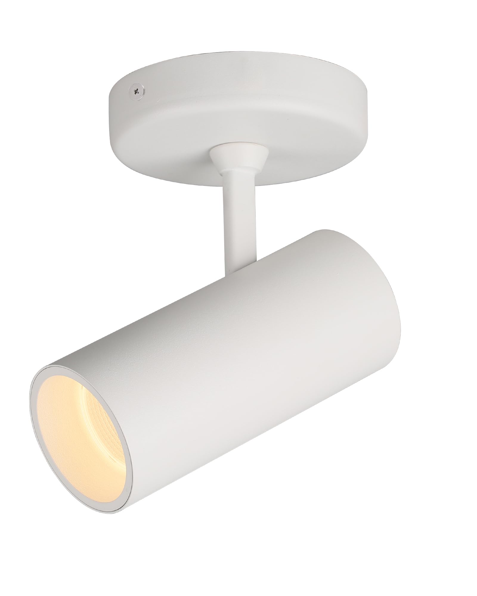 Aisilan White Single Spotlight Dimmable 9W 3000K LED Adjustable Spot Lights Indoor Modern Rotatable Individual Spotlights for Ceiling or Wall Mounted
