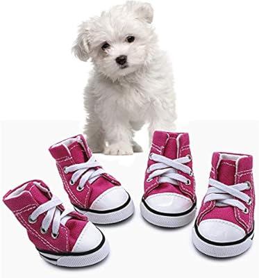 dog canvas shoes