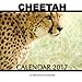 Cheetah Calendar 2017: 16 Month Calendar