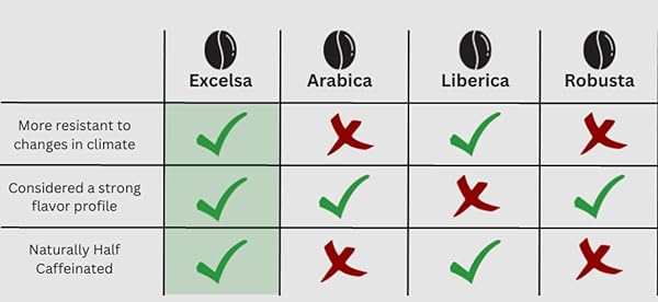 100% PURE EXCELSA COFFEE BEANS. NOT ARABICA. NOT ROBUSTA. EXCELSA COFFEE WHOLE BEANS MEDIUM ROAST. THE RAREST COFFEE BEAN. 12OZ. TART AND FRUITY, NATURALLY HALF-CAFFEINATED.