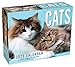 Cats 2020 Mini Day-to-Day Calendar