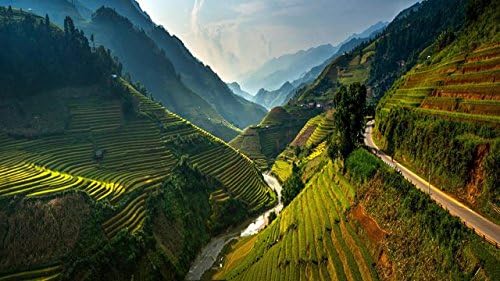 Amazon Com Yyaya Ds Mu Cang Chai Terraced Vietnam Beautiful Landscape Mountains Rice Fields Art Print Silk Fabric Cloth Wall Poster Print 42x24 Inches Posters Prints