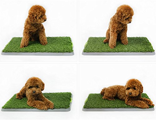 Synturfmats Indoor Pet Potty Pad, 3 Layers Dog Toielt Training Mat 17"x27"